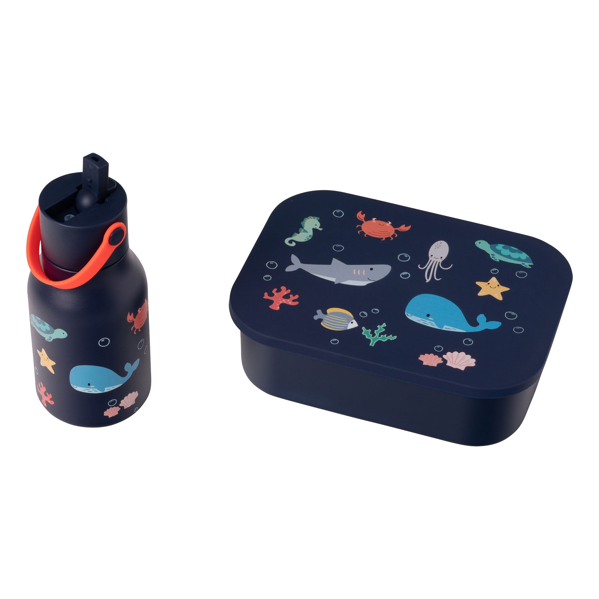 Little Lund Water Bottles