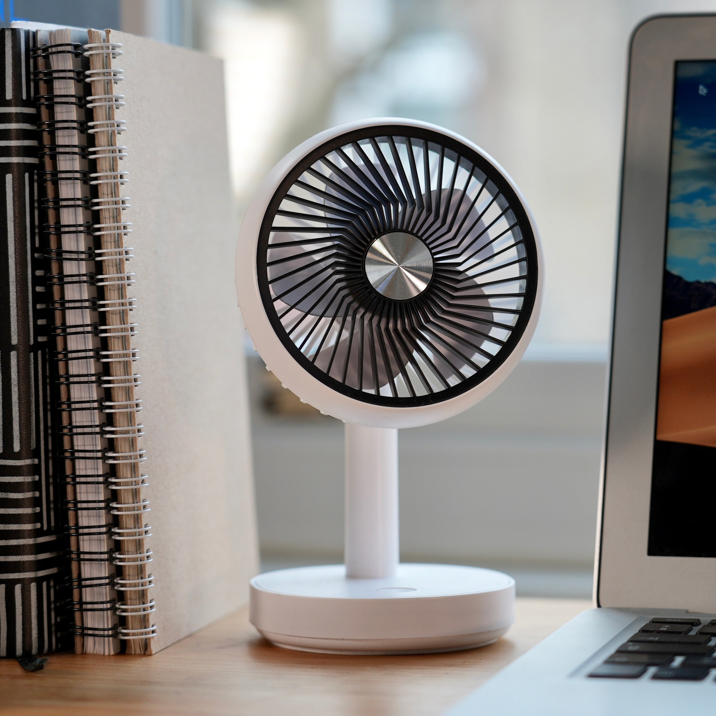 Desktop Fan